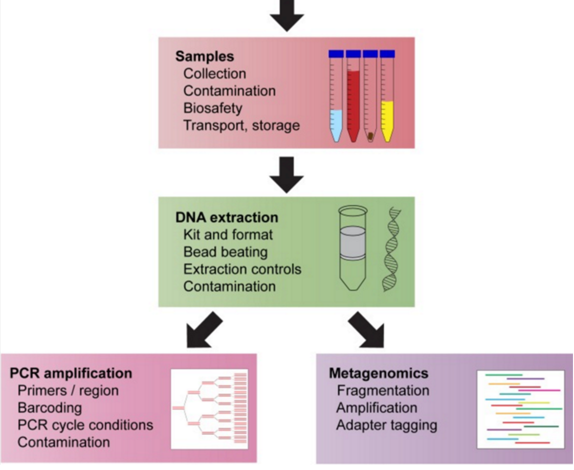 Sample collections. Nanopore sequencing DNA оборудование. DNA Extraction Kit. Выделение ДНК банана. Выделение ДНК из банана.